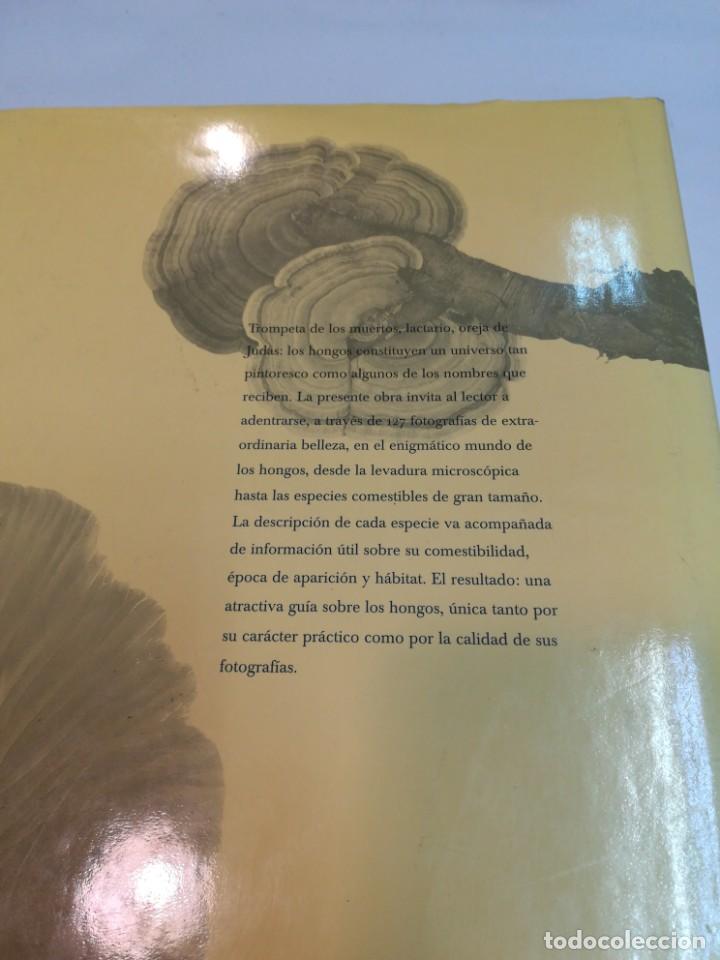 Libros de segunda mano: VV.AA Hongos S763AT - Foto 2