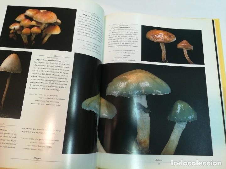 Libros de segunda mano: VV.AA Hongos S763AT - Foto 3