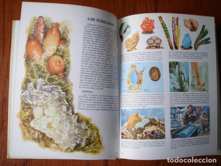 Libros de segunda mano: LIBRO VIDA INTIMA DE LOS ANIMALES DE LA PLAYA Y DE LA COSTA - Foto 5