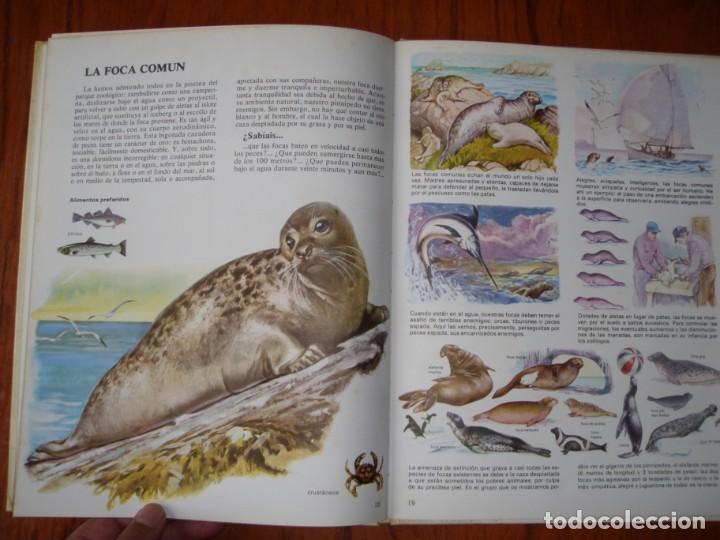 Libros de segunda mano: LIBRO VIDA INTIMA DE LOS ANIMALES DE LA PLAYA Y DE LA COSTA - Foto 6