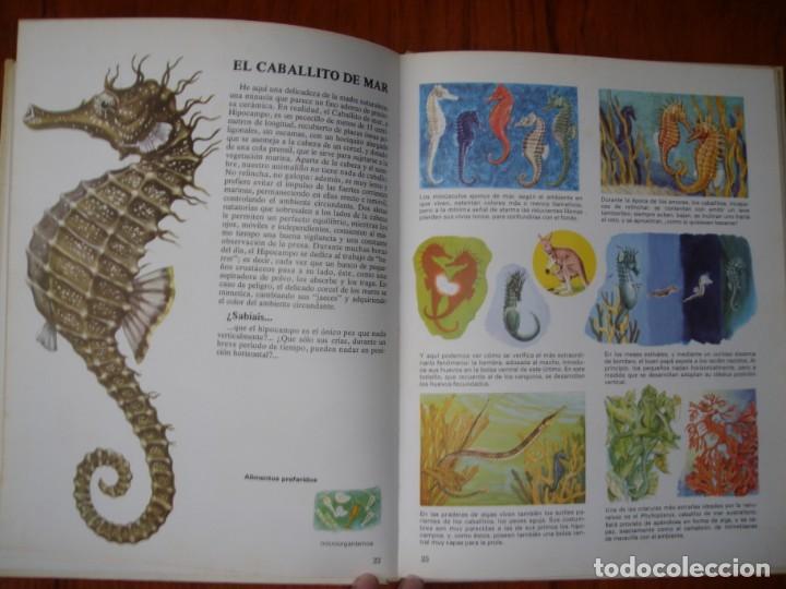 Libros de segunda mano: LIBRO VIDA INTIMA DE LOS ANIMALES DE LA PLAYA Y DE LA COSTA - Foto 7