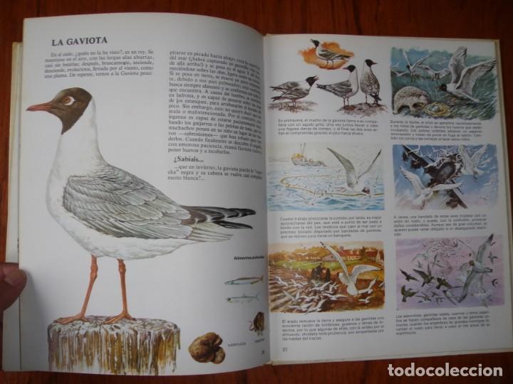 Libros de segunda mano: LIBRO VIDA INTIMA DE LOS ANIMALES DE LA PLAYA Y DE LA COSTA - Foto 8