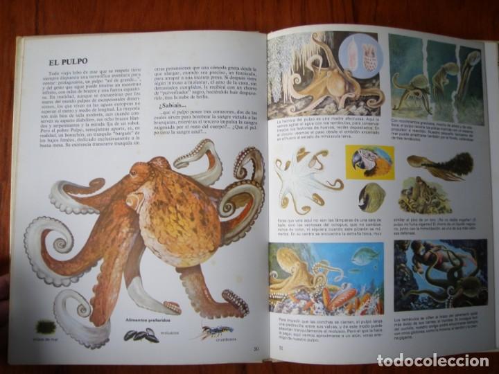 Libros de segunda mano: LIBRO VIDA INTIMA DE LOS ANIMALES DE LA PLAYA Y DE LA COSTA - Foto 9