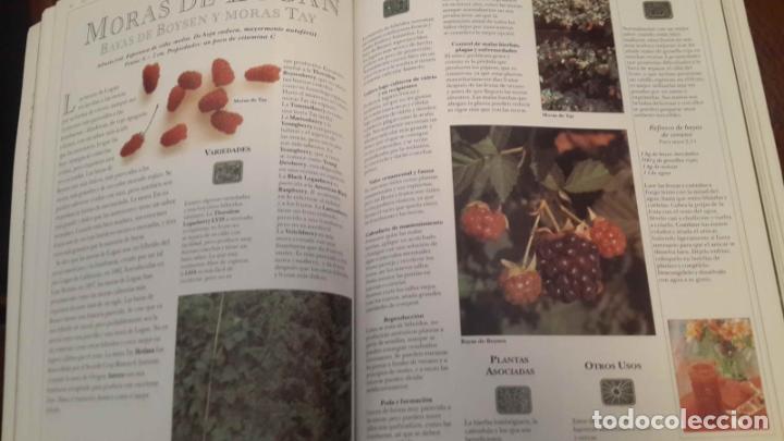 Libros de segunda mano: EL GRAN LIBRO DE LAS FRUTAS. Editorial Integral - Foto 4