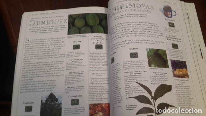 Libros de segunda mano: EL GRAN LIBRO DE LAS FRUTAS. Editorial Integral - Foto 5