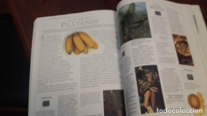 Libros de segunda mano: EL GRAN LIBRO DE LAS FRUTAS. Editorial Integral - Foto 6
