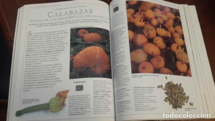 Libros de segunda mano: EL GRAN LIBRO DE LAS FRUTAS. Editorial Integral - Foto 7