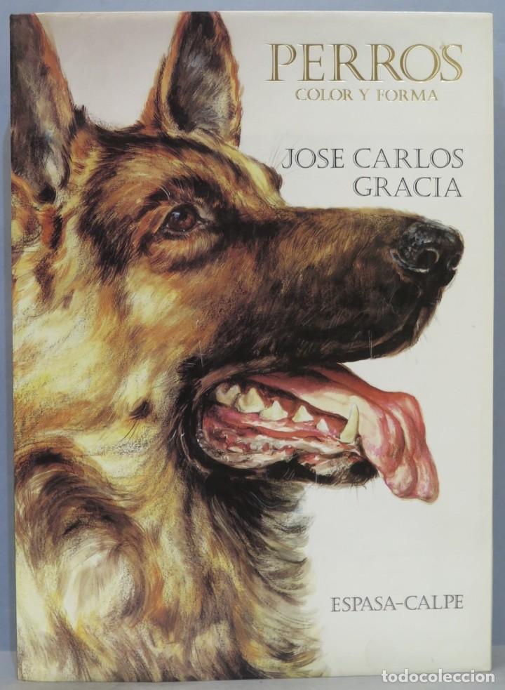 Libros de segunda mano: PERROS, COLOR Y FORMA. JOS&Eacute; CARLOS GRACIA - Foto 1