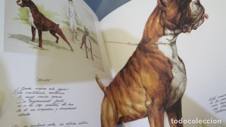 Libros de segunda mano: PERROS, COLOR Y FORMA. JOS&Eacute; CARLOS GRACIA - Foto 3