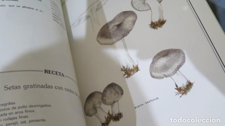 Libros de segunda mano: 24 SETAS DE MADRID. SANTONJA. ELEXPURU - Foto 2