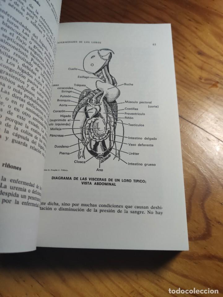 Libros de segunda mano: LOROS Y SIMILARES - Duque de Bedford - Editorial Hispano Europea - 1983 - Foto 5