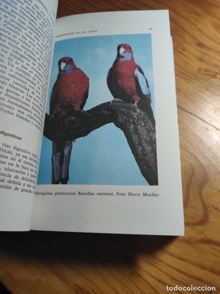 Libros de segunda mano: LOROS Y SIMILARES - Duque de Bedford - Editorial Hispano Europea - 1983 - Foto 6