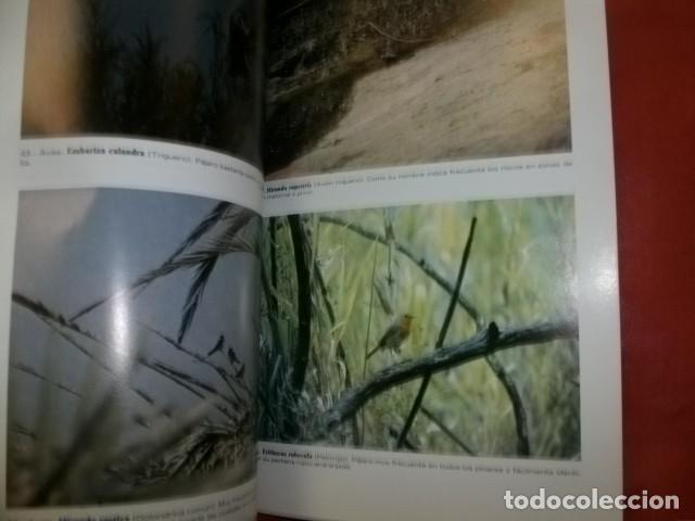 Libros de segunda mano: GU&Iacute;A DE LA FLORA, VEGETACI&Oacute;N Y FAUNA DE MARBELLA - Foto 3