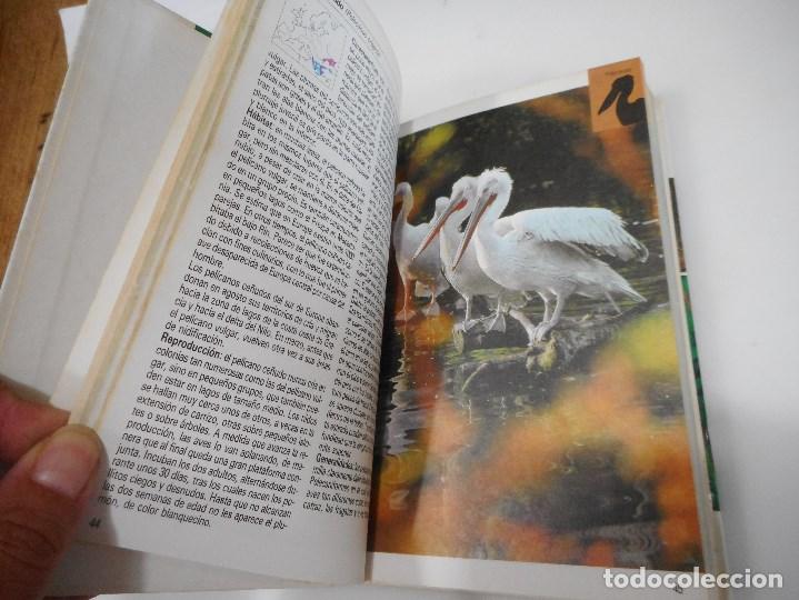 Libros de segunda mano: FRIEDER SAUER Aves acu&aacute;ticas Q2928A - Foto 2