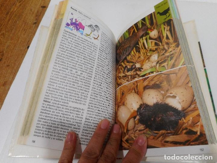 Libros de segunda mano: FRIEDER SAUER Aves acu&aacute;ticas Q2928A - Foto 3