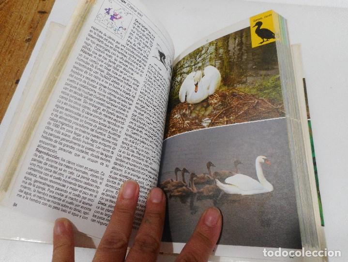 Libros de segunda mano: FRIEDER SAUER Aves acu&aacute;ticas Q2928A - Foto 4
