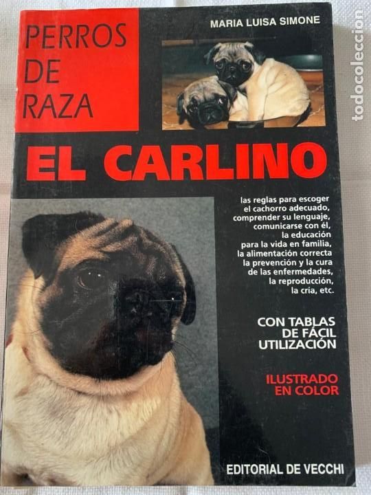 Libros de segunda mano: El Carlino - Maria Luisa Simone - Foto 1