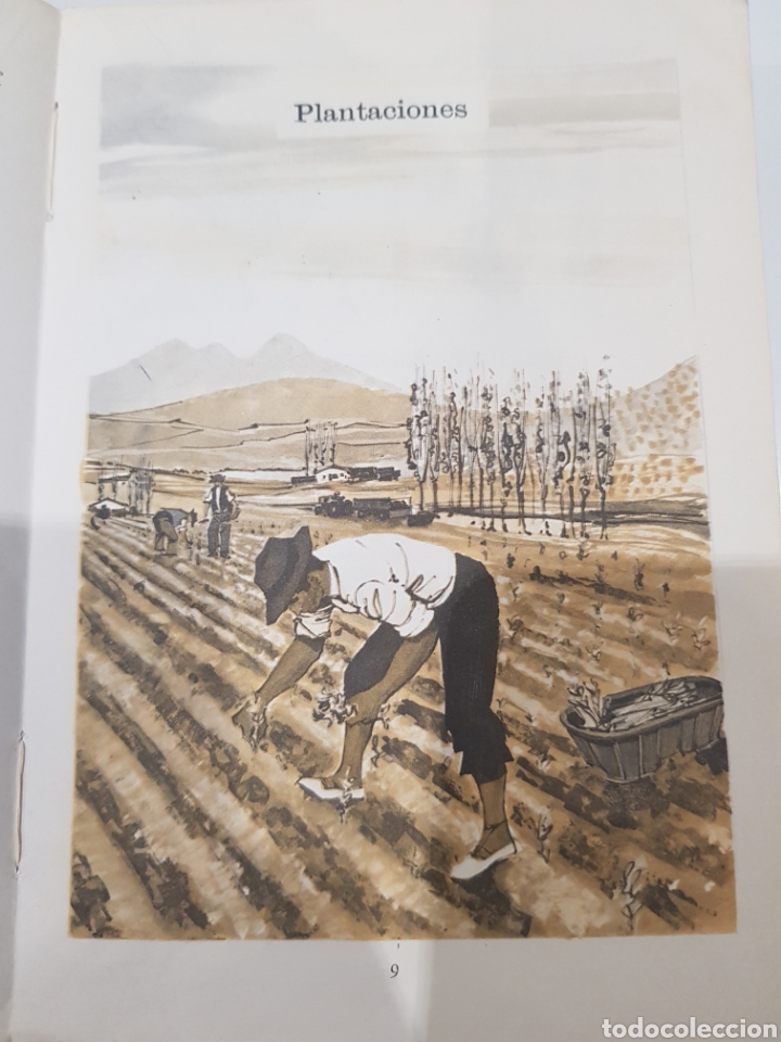 Libros de segunda mano: Guia Agricola Philips Edi.Paraninfo ,a&ntilde;o 1967 - Foto 3