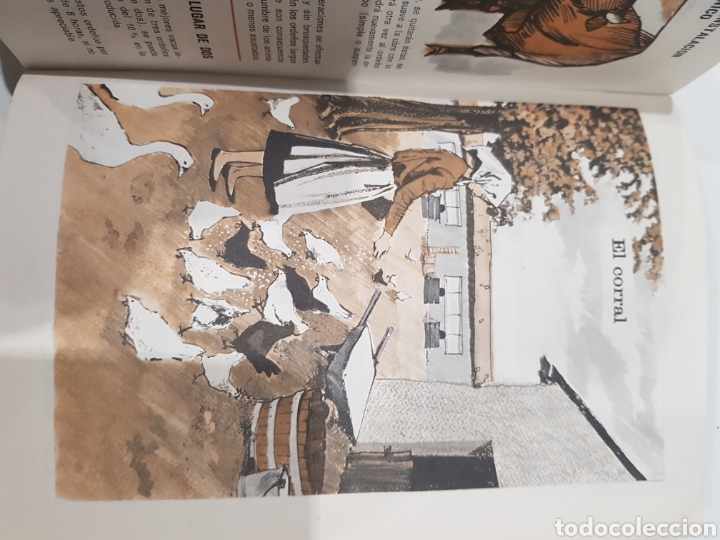 Libros de segunda mano: Guia Agricola Philips Edi.Paraninfo ,a&ntilde;o 1967 - Foto 4