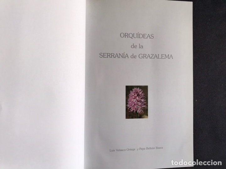 Libros de segunda mano: Orqu&iacute;deas de la serran&iacute;a de Grazalema. Como nuevo - Foto 2