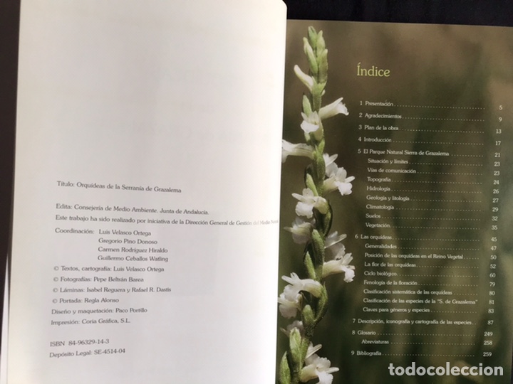 Libros de segunda mano: Orqu&iacute;deas de la serran&iacute;a de Grazalema. Como nuevo - Foto 3