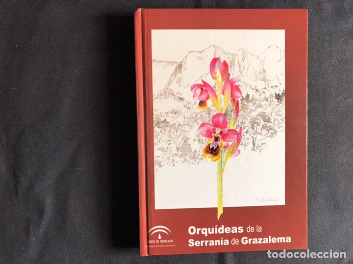 Libros de segunda mano: Orqu&iacute;deas de la serran&iacute;a de Grazalema. Como nuevo - Foto 1