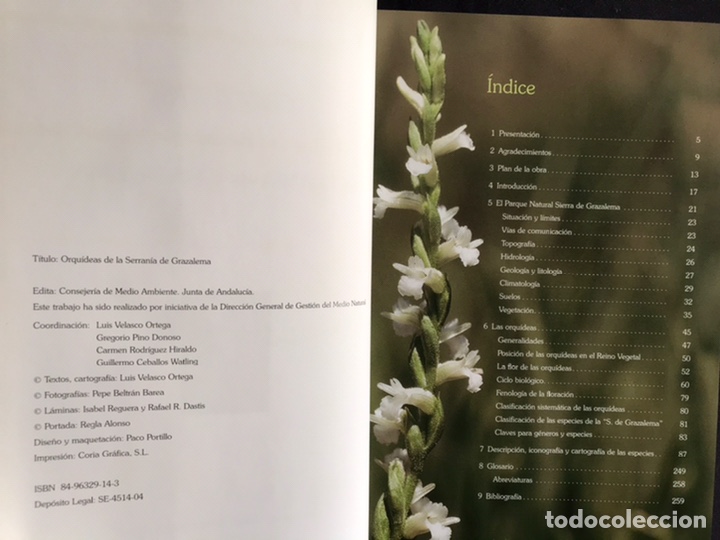 Libros de segunda mano: Orqu&iacute;deas de la serran&iacute;a de Grazalema. Como nuevo - Foto 2