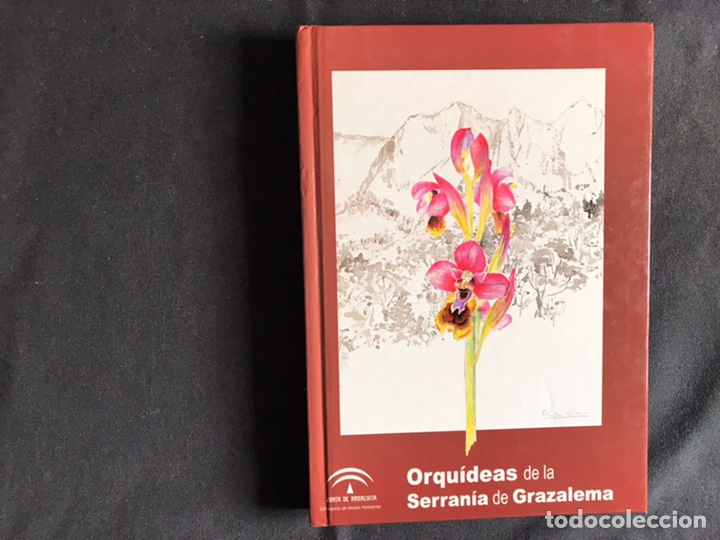 Libros de segunda mano: Orqu&iacute;deas de la serran&iacute;a de Grazalema. Como nuevo - Foto 1