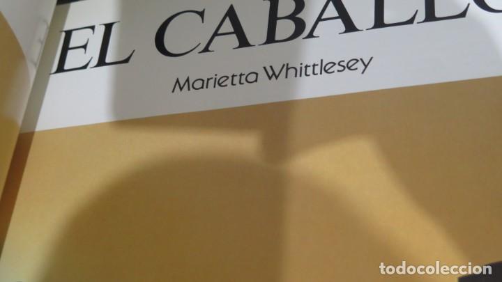 Libros de segunda mano: EL CABALLO. MARIETTA WHITTLESEY - Foto 2