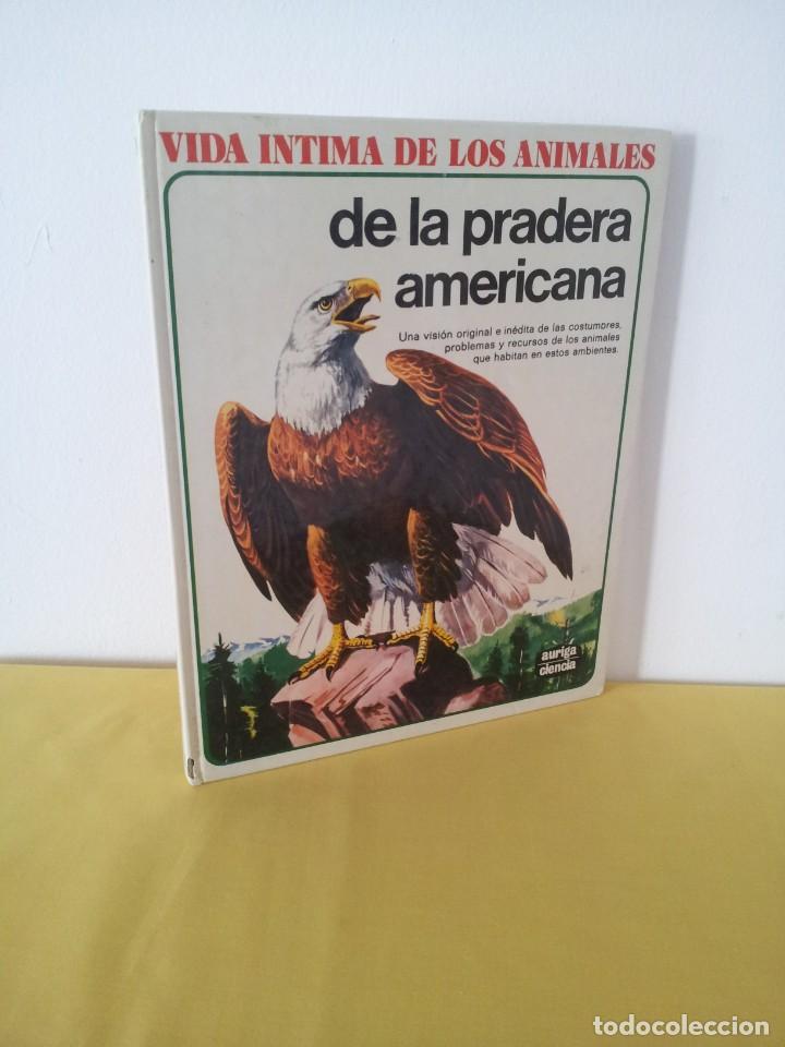 Libros de segunda mano: VIDA INTIMA DE LOS ANIMALES DE LA PRADERA AMERICANA - EDICIONES RIALP1989 - Foto 1