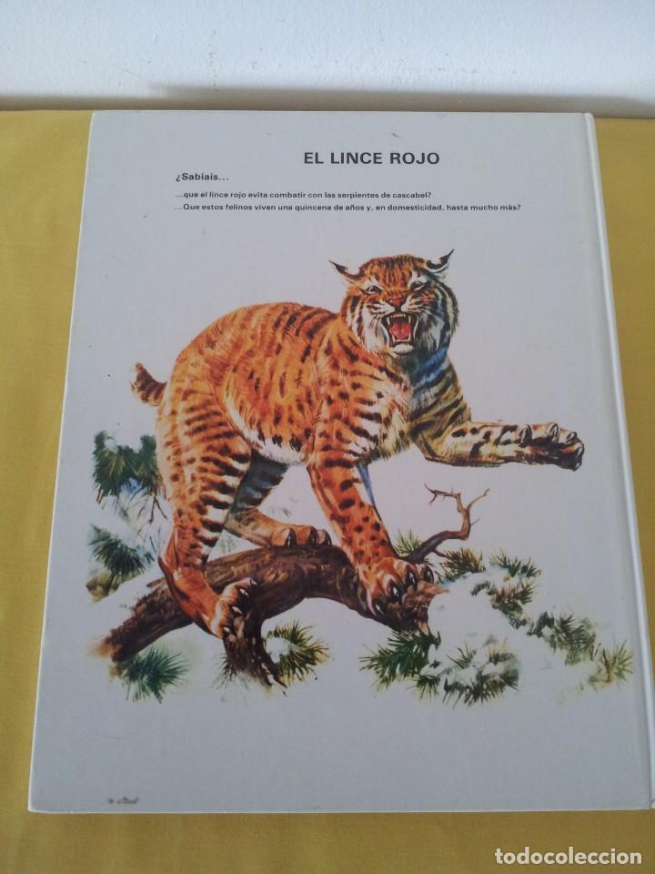Libros de segunda mano: VIDA INTIMA DE LOS ANIMALES DE LA PRADERA AMERICANA - EDICIONES RIALP1989 - Foto 2