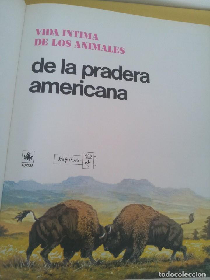 Libros de segunda mano: VIDA INTIMA DE LOS ANIMALES DE LA PRADERA AMERICANA - EDICIONES RIALP1989 - Foto 3