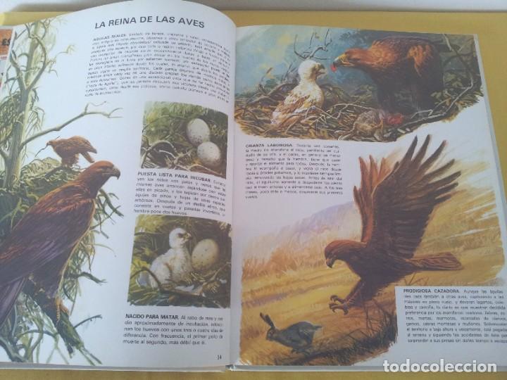 Libros de segunda mano: VIDA INTIMA DE LOS ANIMALES DE LA PRADERA AMERICANA - EDICIONES RIALP1989 - Foto 4