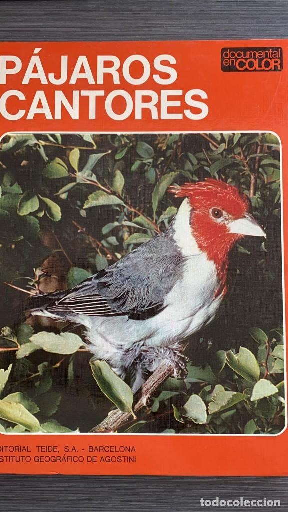 Libros de segunda mano: P&aacute;jaros contores + La Setas. VVAA Ed. Teide - Foto 1