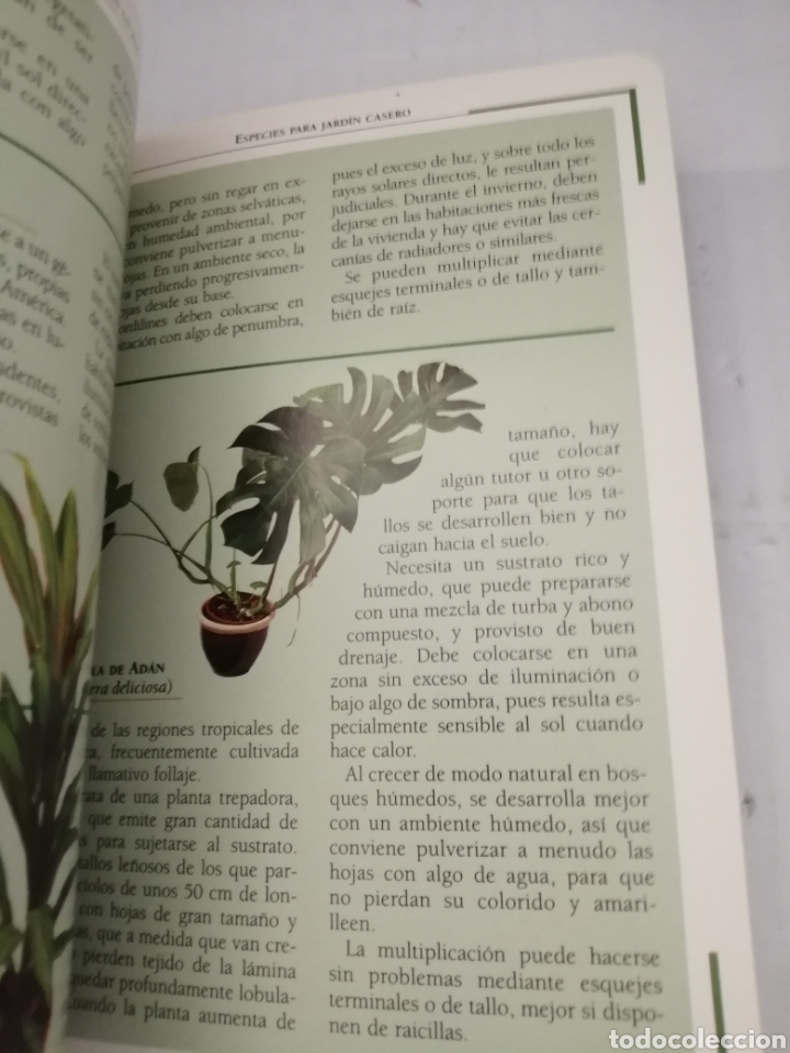 Libros de segunda mano: EL JARD&Iacute;N EN UN PISO - Foto 3