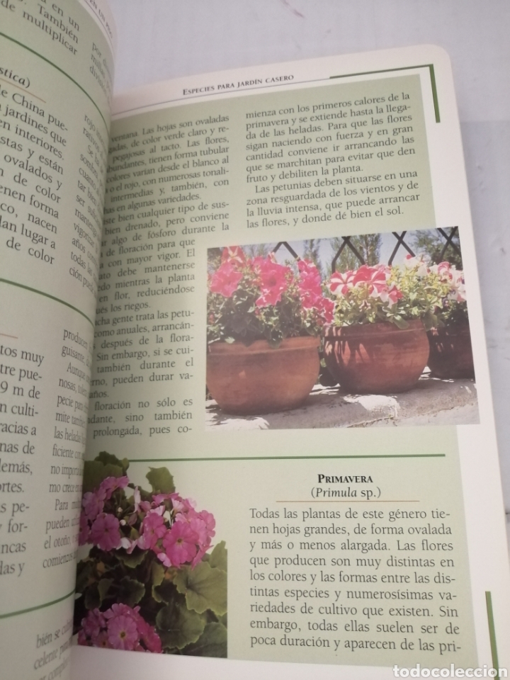 Libros de segunda mano: EL JARD&Iacute;N EN UN PISO - Foto 4