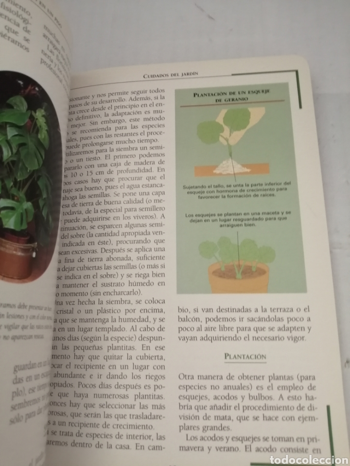 Libros de segunda mano: EL JARD&Iacute;N EN UN PISO - Foto 6