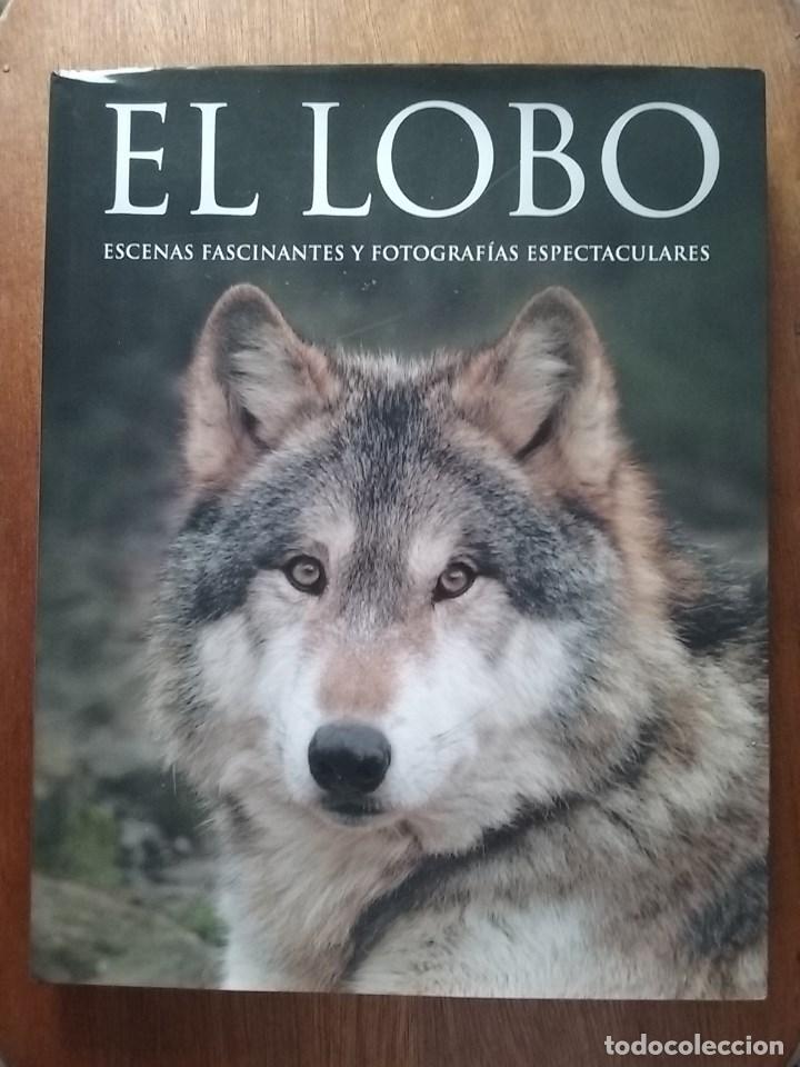 Libros de segunda mano: EL LOBO, ESCENAS FASCINANTES Y FOTOGRAFIAS ESPECTACULARES, SHAUN ELLIS, MONTY SLOAN, PARRAGON