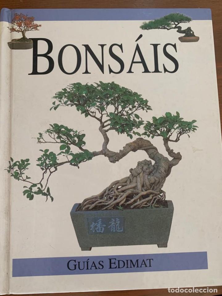 Libros de segunda mano: Bons&aacute;is - Quantum books - Foto 1