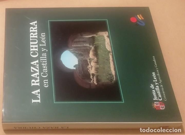 Libros de segunda mano: La raza churra en Castilla y Le&oacute;n, 1991 - Foto 2