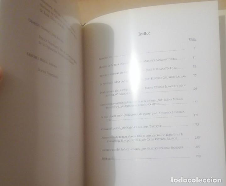 Libros de segunda mano: La raza churra en Castilla y Le&oacute;n, 1991 - Foto 3