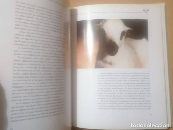 Libros de segunda mano: La raza churra en Castilla y Le&oacute;n, 1991 - Foto 4