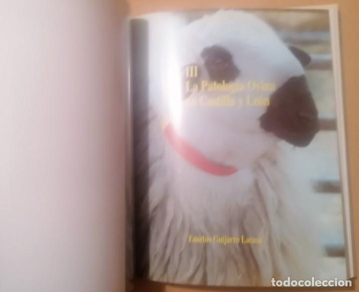 Libros de segunda mano: La raza churra en Castilla y Le&oacute;n, 1991 - Foto 5