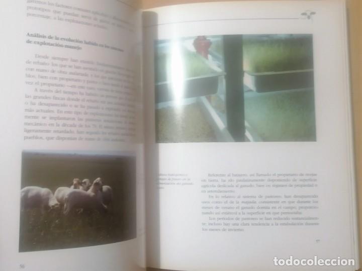 Libros de segunda mano: La raza churra en Castilla y Le&oacute;n, 1991 - Foto 6