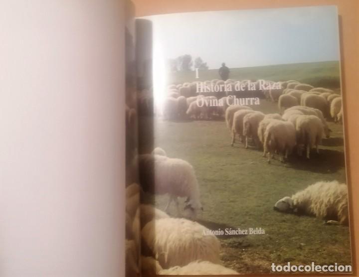 Libros de segunda mano: La raza churra en Castilla y Le&oacute;n, 1991 - Foto 7