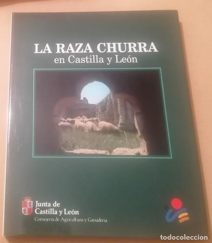 Libros de segunda mano: La raza churra en Castilla y Le&oacute;n, 1991 - Foto 1