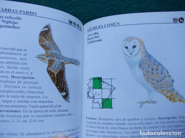 Libros de segunda mano: AVES DEL PARQUE NATURAL SIERRA DE GRAZALEMA - Foto 2
