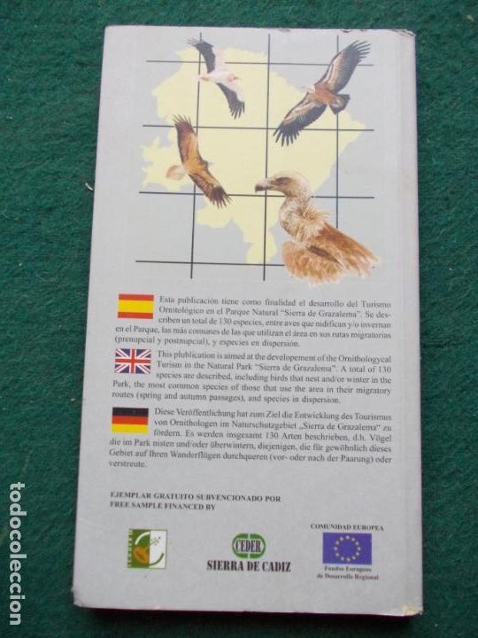 Libros de segunda mano: AVES DEL PARQUE NATURAL SIERRA DE GRAZALEMA - Foto 3