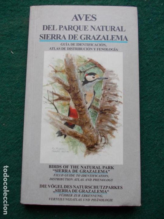 Libros de segunda mano: AVES DEL PARQUE NATURAL SIERRA DE GRAZALEMA - Foto 1