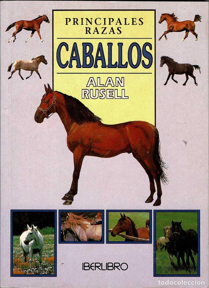 Libros de segunda mano: Principales razas de caballos - Alan Rusell - Foto 1